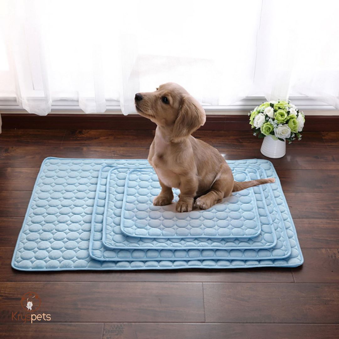 Tapis rafraichissant chien - KrysFRAIS™