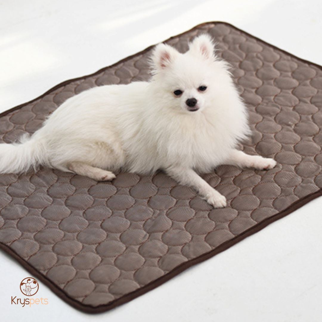 Tapis rafraichissant chien - KrysFRAIS™