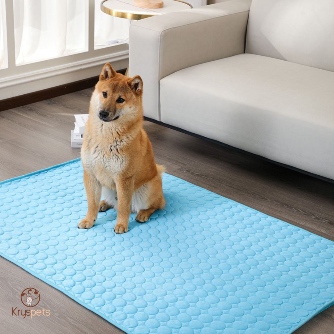 Tapis rafraichissant chien - KrysFRAIS™