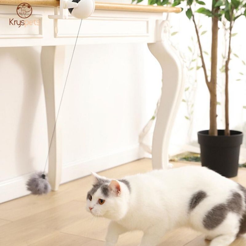 YOYO ELECTRO™ - Yoyo Electronique pour chat - Kryspet's